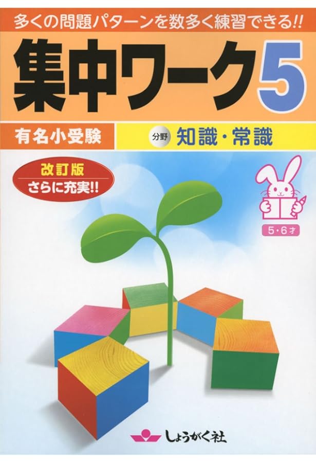 Amazon.co.jp: 集中ワ-ク: 有名小受験 (1) : 本